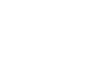 Evolution games at Whamoo Casino